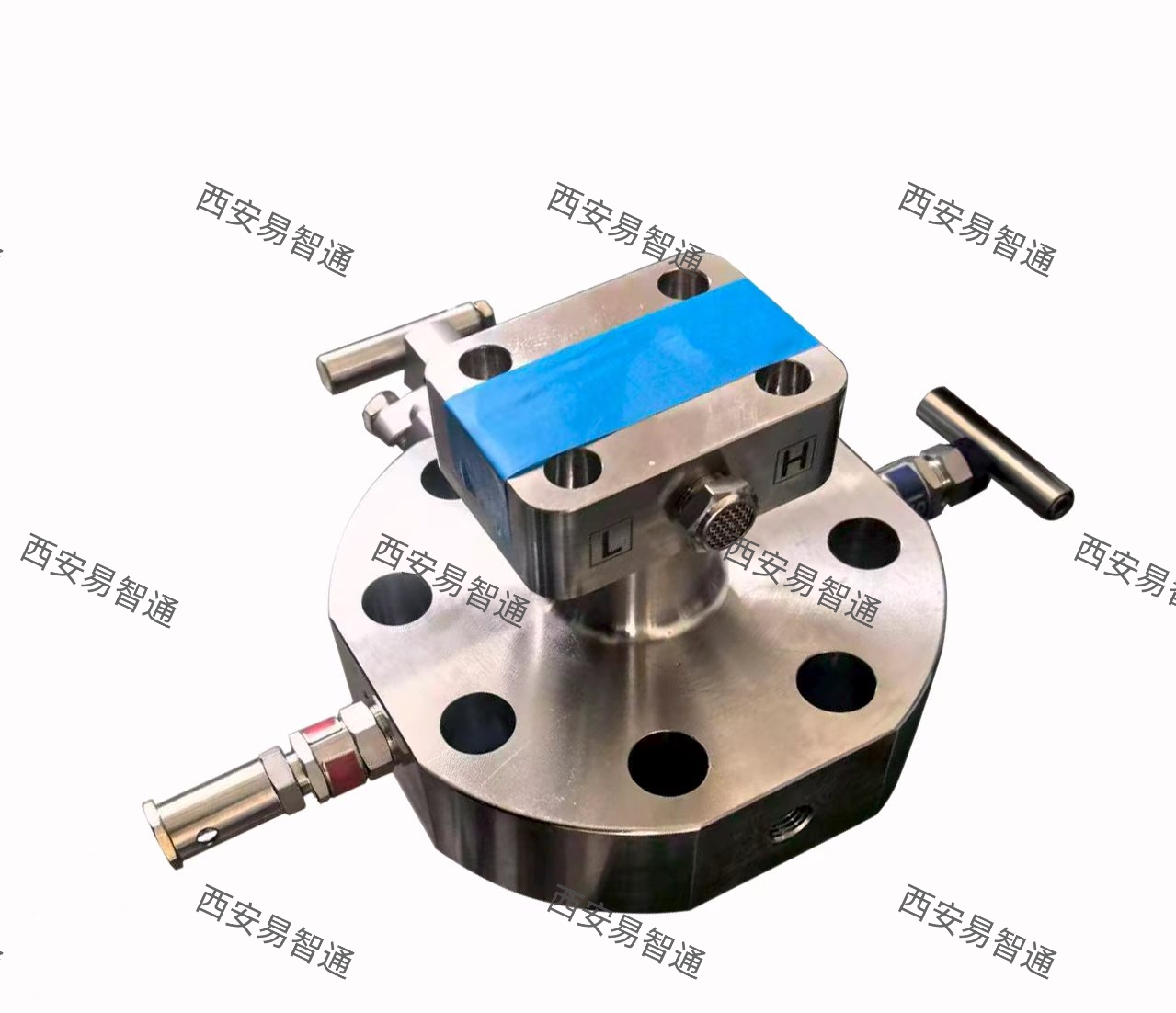  防篡改法兰式隔离泄放阀 Anti-Tamper 